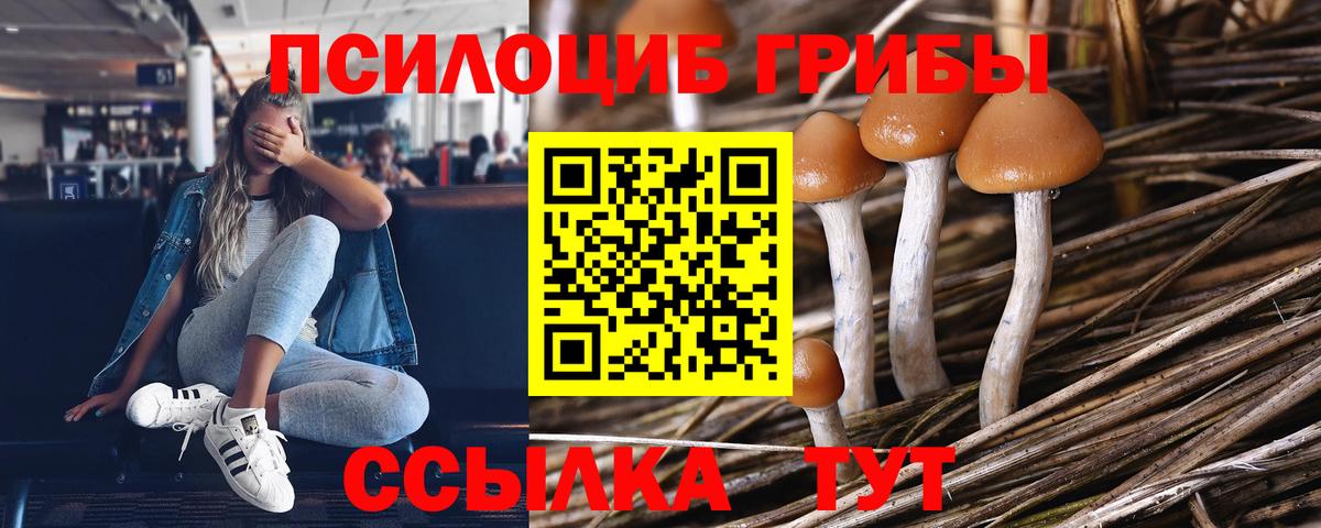 Кольчугино  Галлюциногенные грибы MAGIC MUSHROOMS  Вход с VPN 