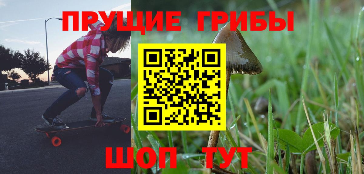 Галлюциногенные грибы прущие грибы Кольчугино